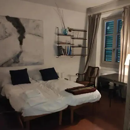 Portion Of Near P Santo Spirito 公寓 佛罗伦萨